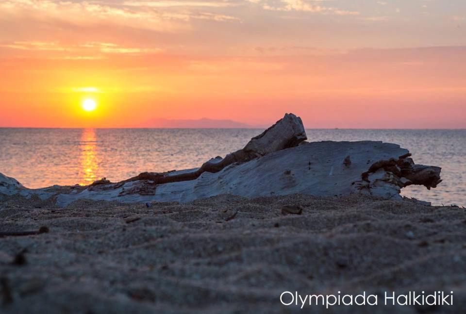 Mirini • Ancient Stagira Apts • Chalkidiki Olympiada Bagian luar foto