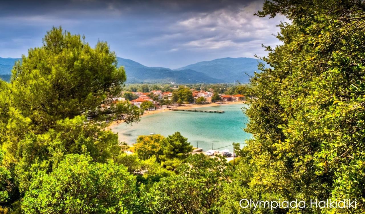 Mirini • Ancient Stagira Apts • Chalkidiki Olympiada Bagian luar foto