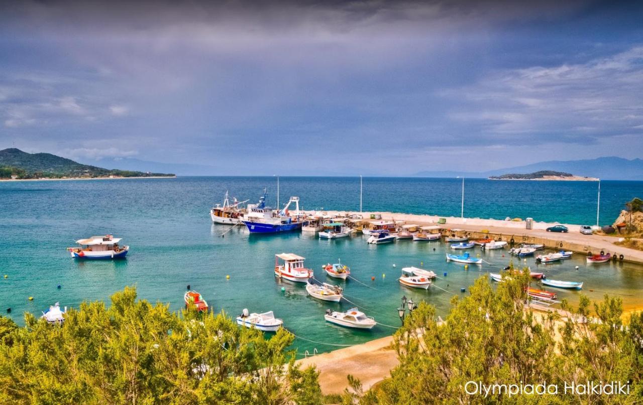 Mirini • Ancient Stagira Apts • Chalkidiki Olympiada Bagian luar foto