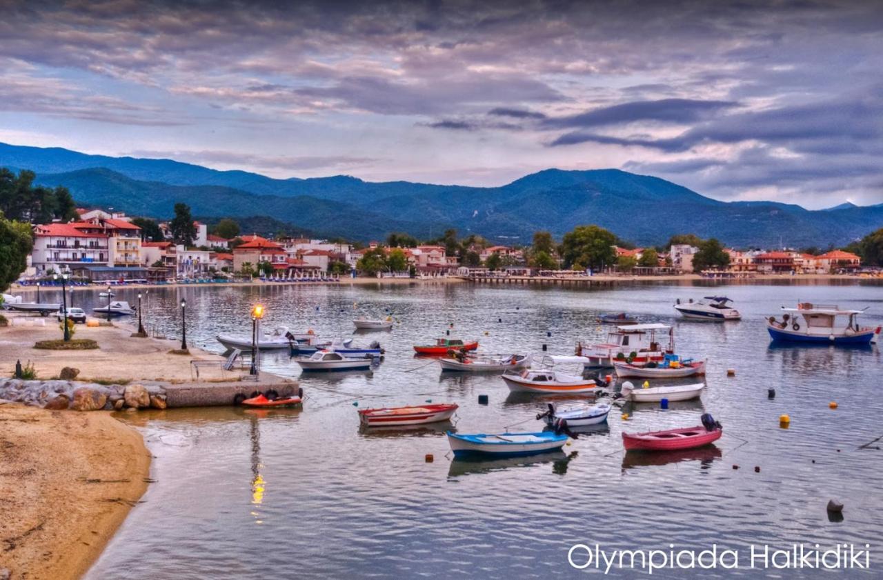Mirini • Ancient Stagira Apts • Chalkidiki Olympiada Bagian luar foto